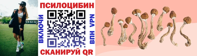 Псилоцибиновые грибы Cubensis  Серафимович 